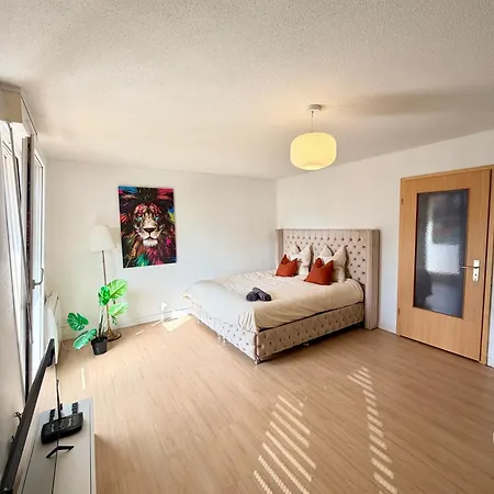 Appartement Cosy A 10 Min De Strasbourg - *